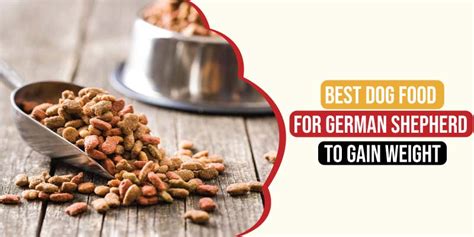 Maybe you would like to learn more about one of these? Best Dog Food For German Shepherd to Gain Weight Reviews ...