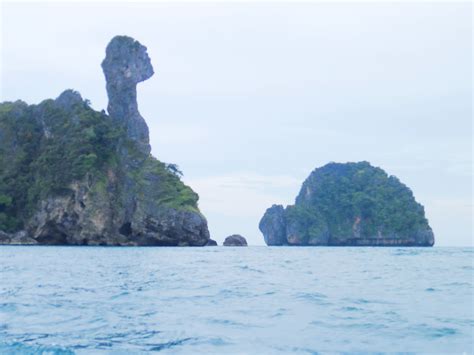 Shellfish, mollusc, clam, bivalve, example: เที่ยวกระบี่คนเดียว กับเป้ 1 ใบ และกระเป๋าคู่ใจ 1 อัน (ตอน ...
