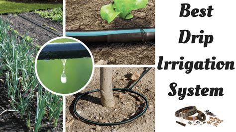 Drip Irrigation Systems Whats The Best Of 2021
