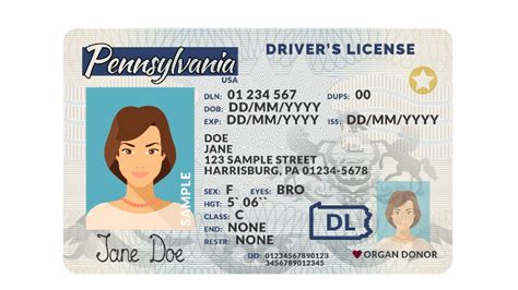 Gop Controlled Panel Hears Bill To Grant Pa Drivers Licenses To