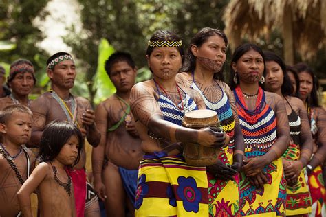 emberá indigenous people panama behance behance