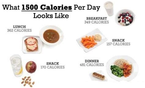 Weight Loss Calculator How Many Calories A Day Bmi Formula