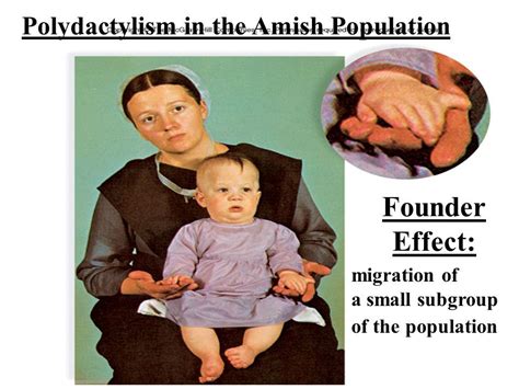 Amish Inbreeding