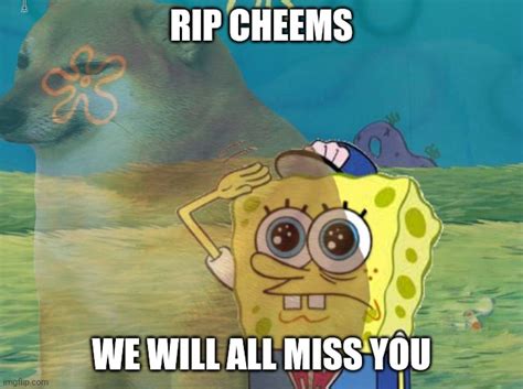 Spongebob Miss You