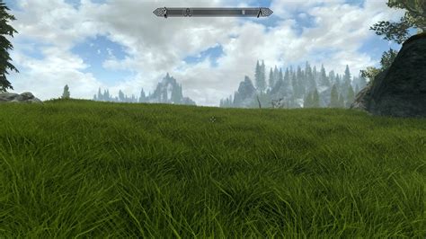 Grass At Skyrim Special Edition Nexus Mods And Community