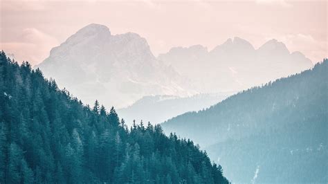 Download Wallpaper 2560x1440 Mountains Fog Trees Sky Slope