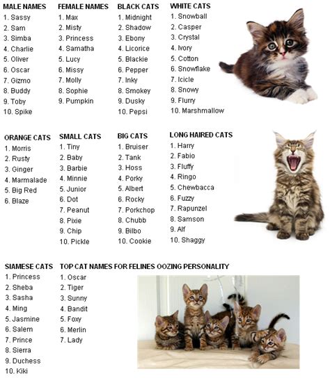 We have collected more than 700 cat names. cat ailments: cat names