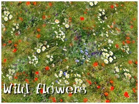 Mod The Sims Wild Flowers Wild Flowers Wild Flowers