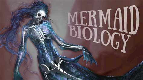 Mermaid Biology Explained The Science Of Merfolk Youtube