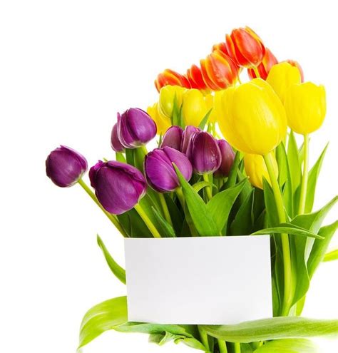 79d307eb.png (600×627) | Flower frame, Flower clip, Assorted greeting cards