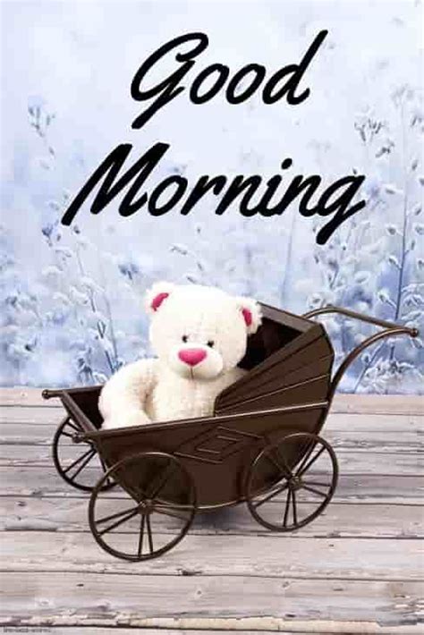 101 Cute Good Morning Teddy Bear Images Best Collection Cute Good
