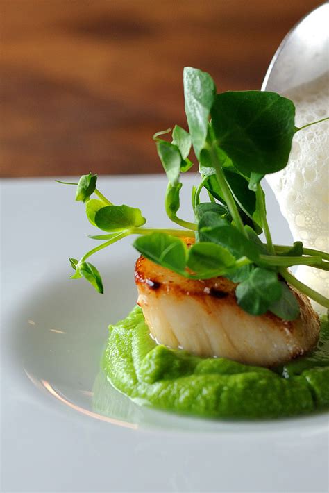 Scallops Recipe With Pea Purée Great British Chefs