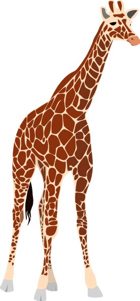 Giraffe Clip Art At Vector Clip Art Online Royalty Free