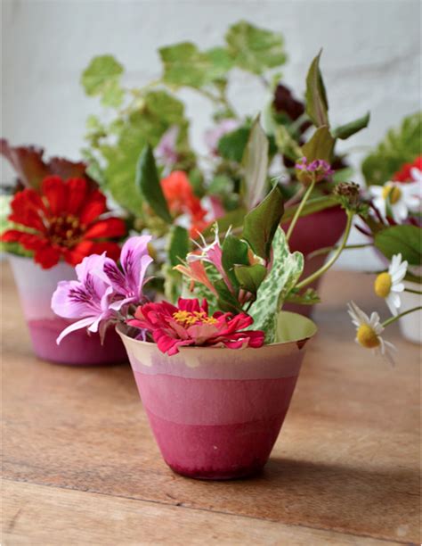 Diy Dip Dye Cups Design Sponge Flower Pots Dye Flowers Diy Dye