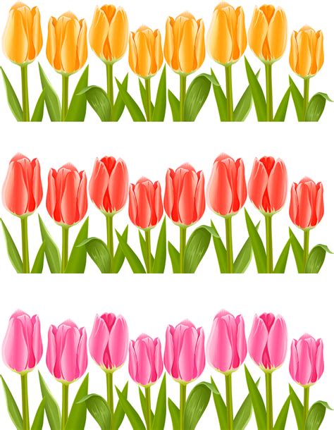 Descarga Vector De Vector De Tulipanes De Colores