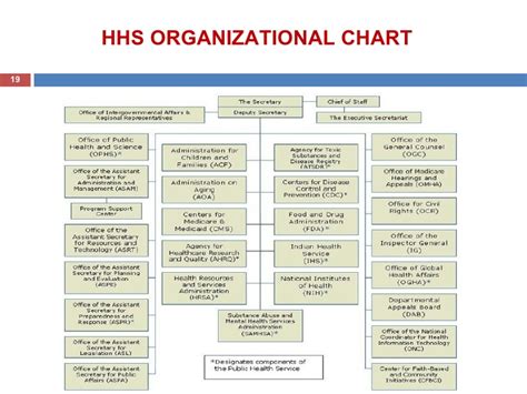 Hhs Organizational Chart Amulette