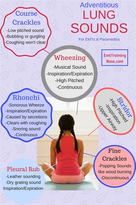 A Guide To Auscultating Lung Sounds Emt Training Base Nursing