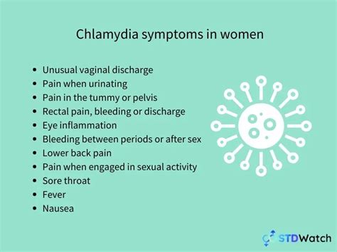 Chlamydia Everything You Need To Know