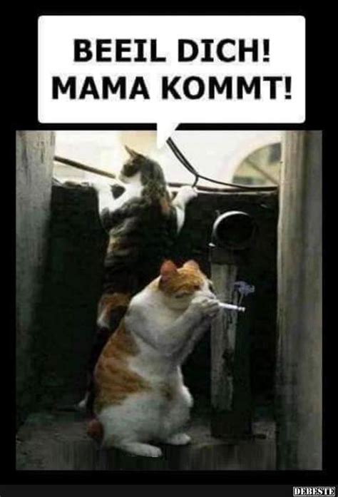 2019 07:05 h mama kommt! Beeil Dich! Mama kommt! | Lustige Bilder, Sprüche, Witze ...