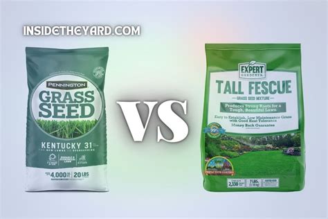 A Complete Differentiation Between Kentucky Vs Tall Fescue Grass