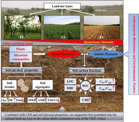Relationship Between Soil Physical Properties And Soil Organic Carbon