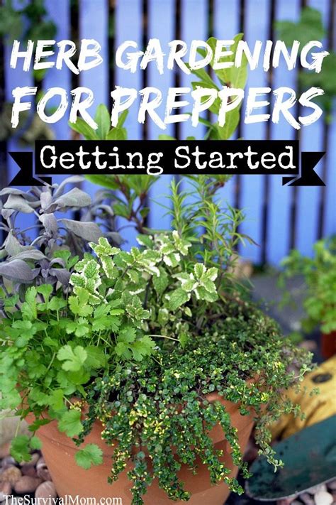 Herb Gardening For Preppers Will Allow You To Have A Variety Of Fresh