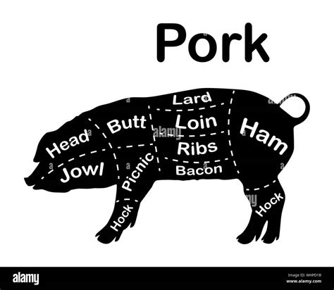 Cortes De Carne La Carne De Cerdo Los Diagramas De Carnicería