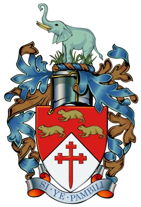 Coat Of Arms And Armorial Bearings Of The City Of Bulawayo These Were