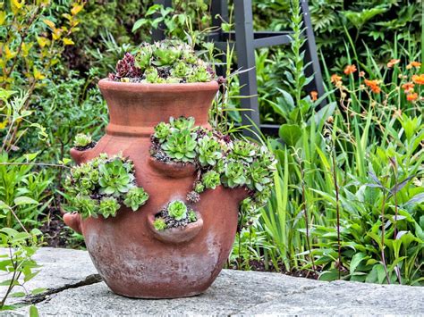 How To Plant A Strawberry Pot 20 Creative Strawberry Pot Plant Ideas