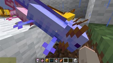 Ajolote Azul En Minecraft Archivos Vídeos Y Tutoriales De Minecraft