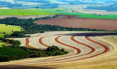 Agricultura sustentável regenerativa e bem explicada FEBRAPDP