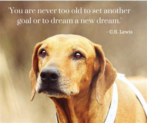 Save The Animals Save The World Animal Lover Quotes Dog Quotes Pet