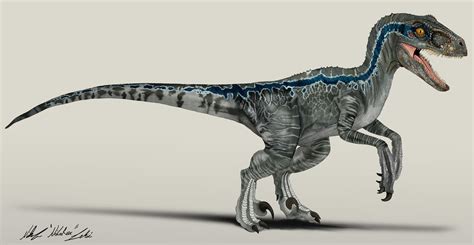 Blue Jurassic World Velociraptor Drawings