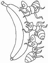 Ants Coloring Printables Kids Ant Pages Strong sketch template