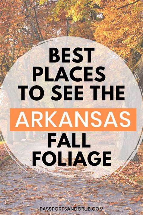 Best Places To See The Fall Foliage In Arkansas Updated August 2022