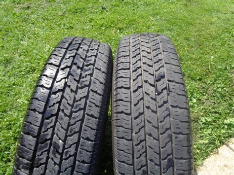 Хоста гибридная вайт физер/ hosta hybrida white feather (агрофирма аэлита). coker white wall tires 205 75 15 | The H.A.M.B.