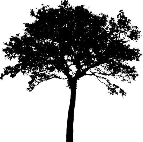 Indie Black And White Tree Clipart 20 Free Cliparts Download Images