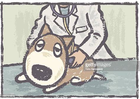 Dog Doctor Vector High Res Illustrations Getty Images
