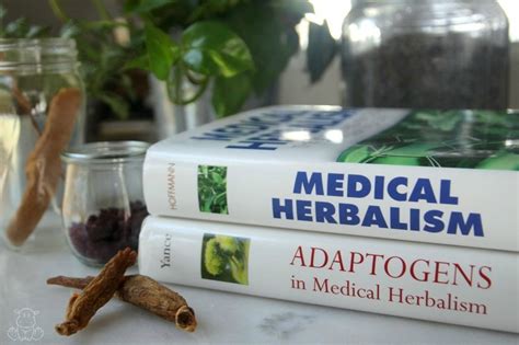 Top 16 Herb Books For Your Home Apothecary