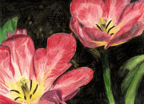 Crayon Flowers By Dragondoodle On Deviantart Drawings Crayon Drawings Crayon