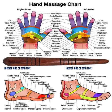 Thai Foot Massage Stick Reflexology Thai Traditional Hand And Etsy