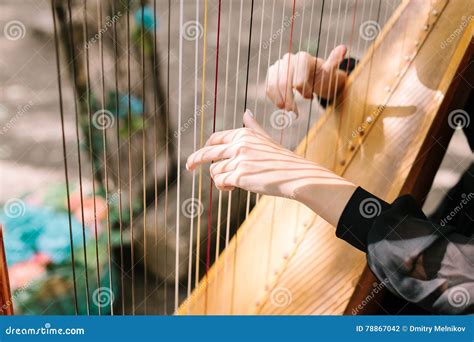 Hands Of The Woman Playing A Harp Symphonic Orchestra Stock Photo