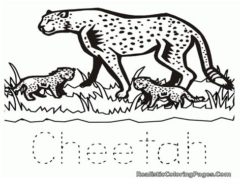 Kbrguru Cheetah Coloring Pages For Kids Printable