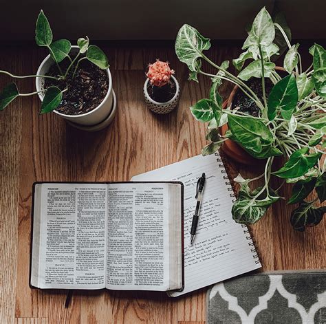 Romanos 12:1-2 | Estudio Bíblico 📖💜 - Soy Joven Cristiana