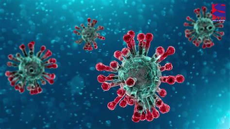 Malaysians struggling amid a strict lockdown are flying white flags outside their homes as a plea for help. Coronavirus: Denmark in cartoon bust-up with China over ...