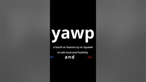 Video Word Of The Day Yawp Youtube