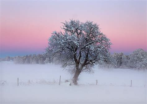 Pink Winter Wonderland On Behance Winter Scenes Winter Landscape