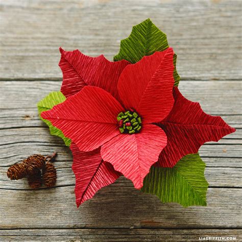 Crepe Paper Poinsettias Template And Video Tutorial