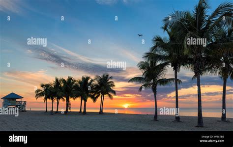 Miami Beach At Sunrise Stock Photo Alamy
