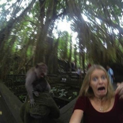 Woman Tries To Take A Selfie With A Monkey Fails Spectacularly